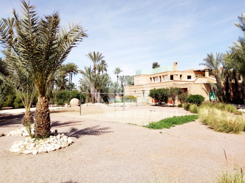 Villa d'exception, Palmeraie