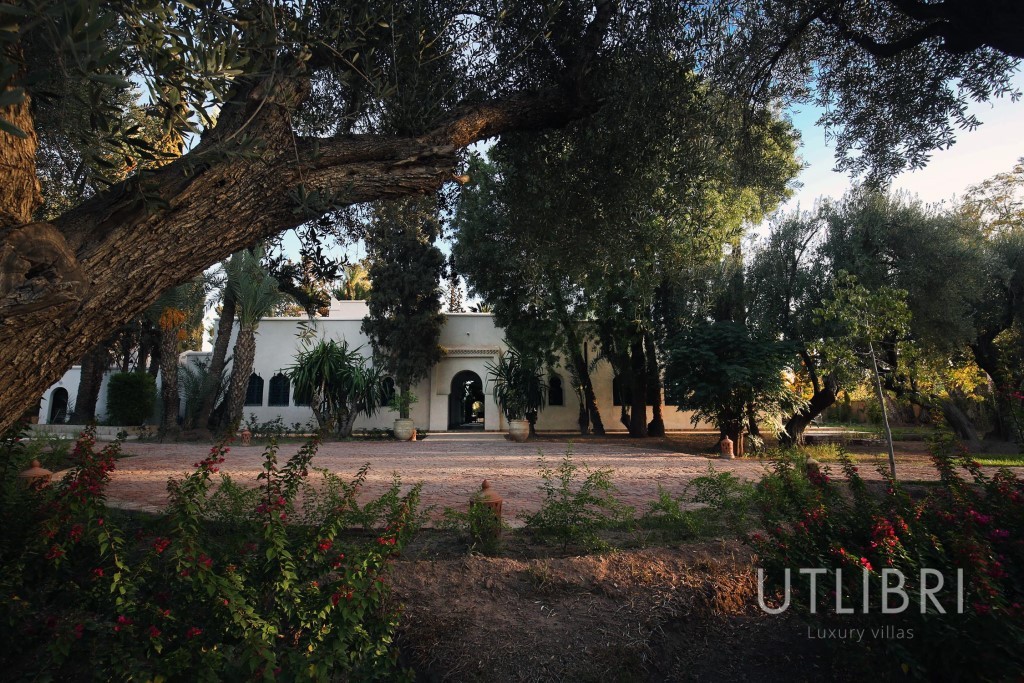 Villa d'exception, Palmeraie