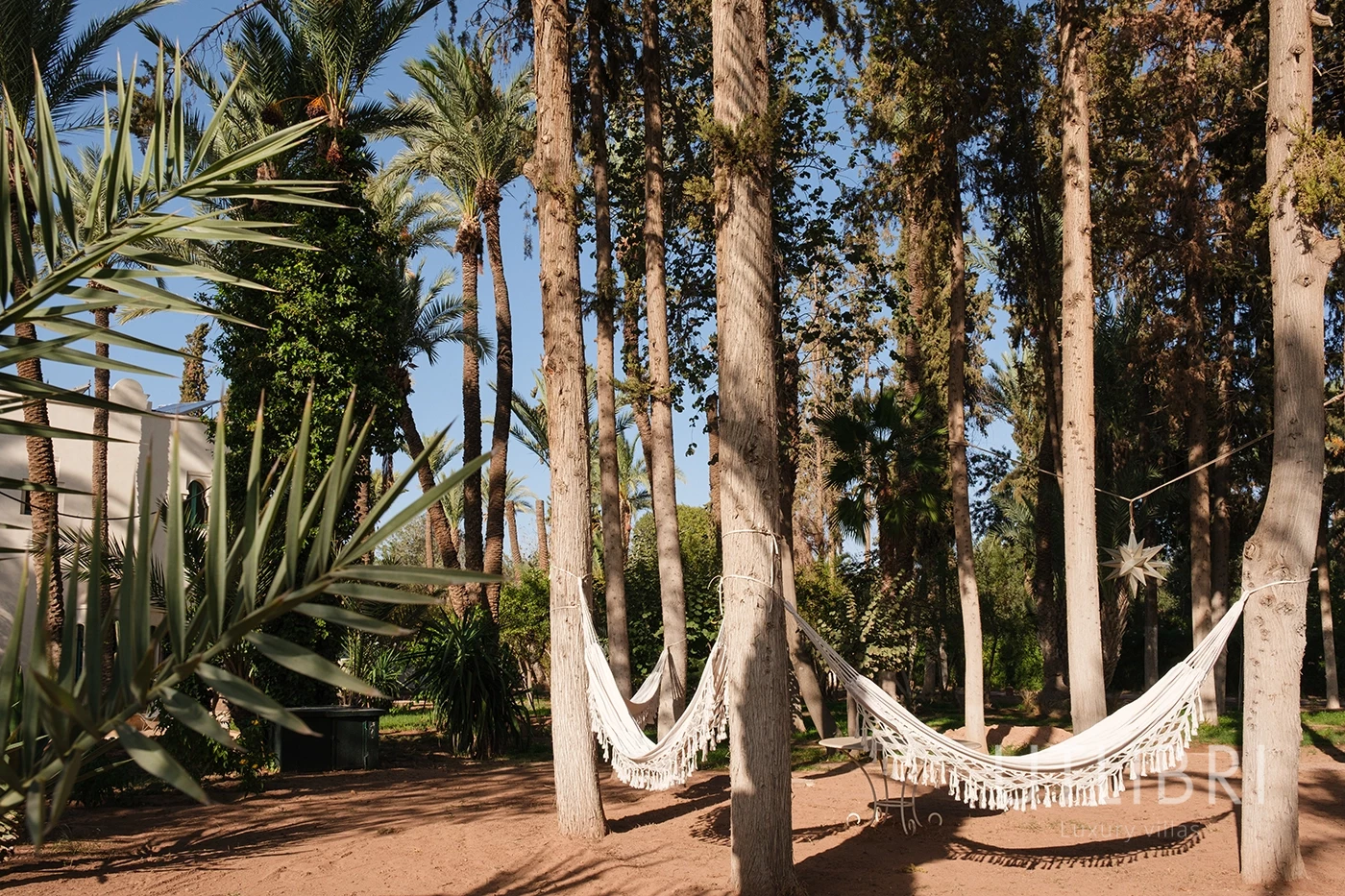 Villa d'exception, Palmeraie