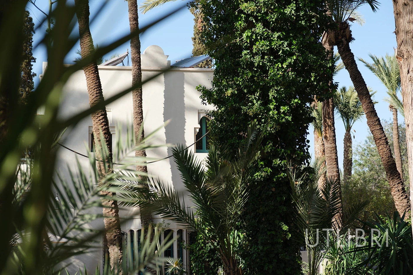 Villa d'exception, Palmeraie