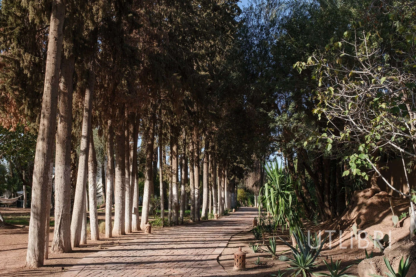 Villa d'exception, Palmeraie