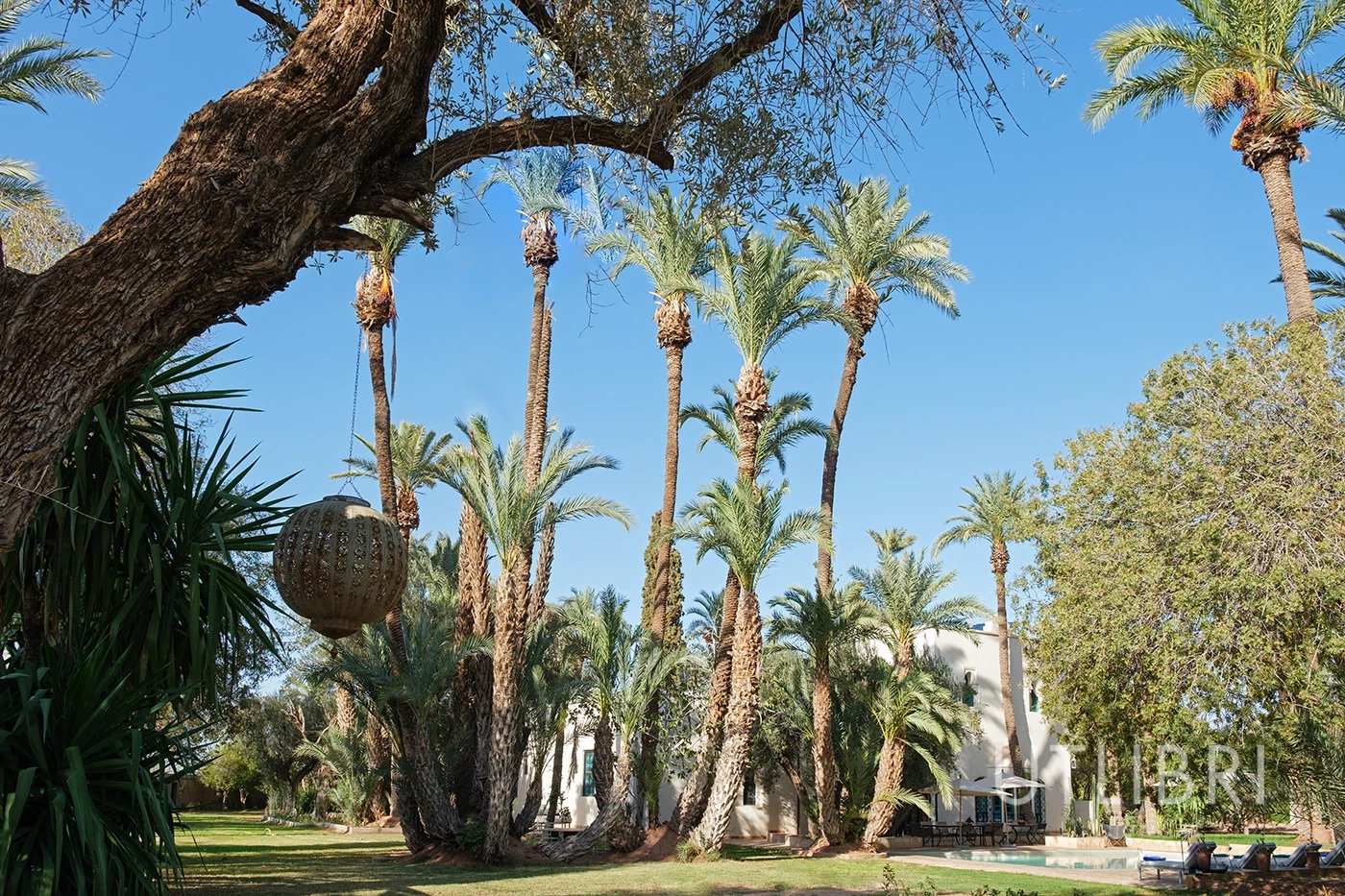 Villa d'exception, Palmeraie