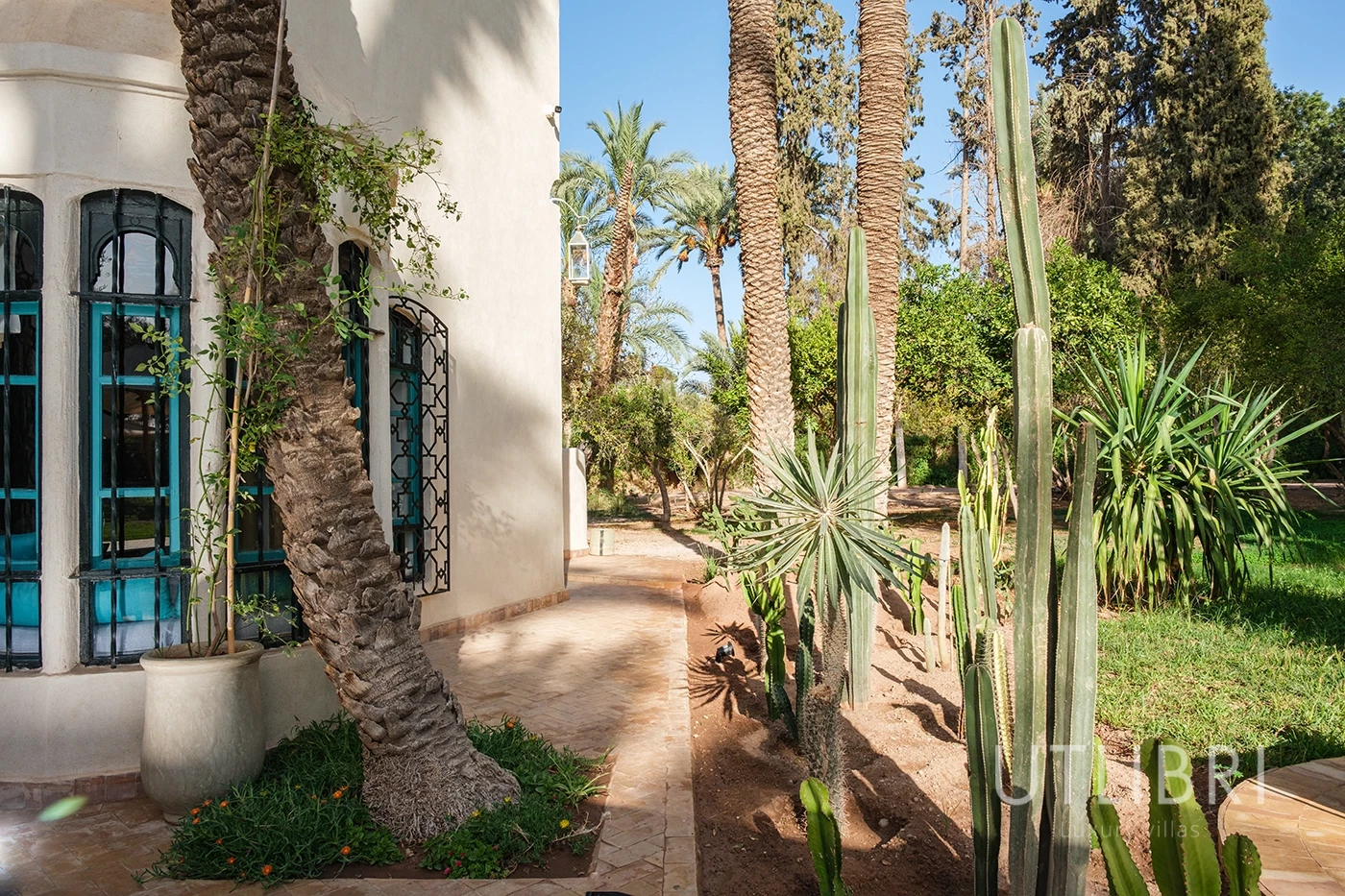 Villa d'exception, Palmeraie
