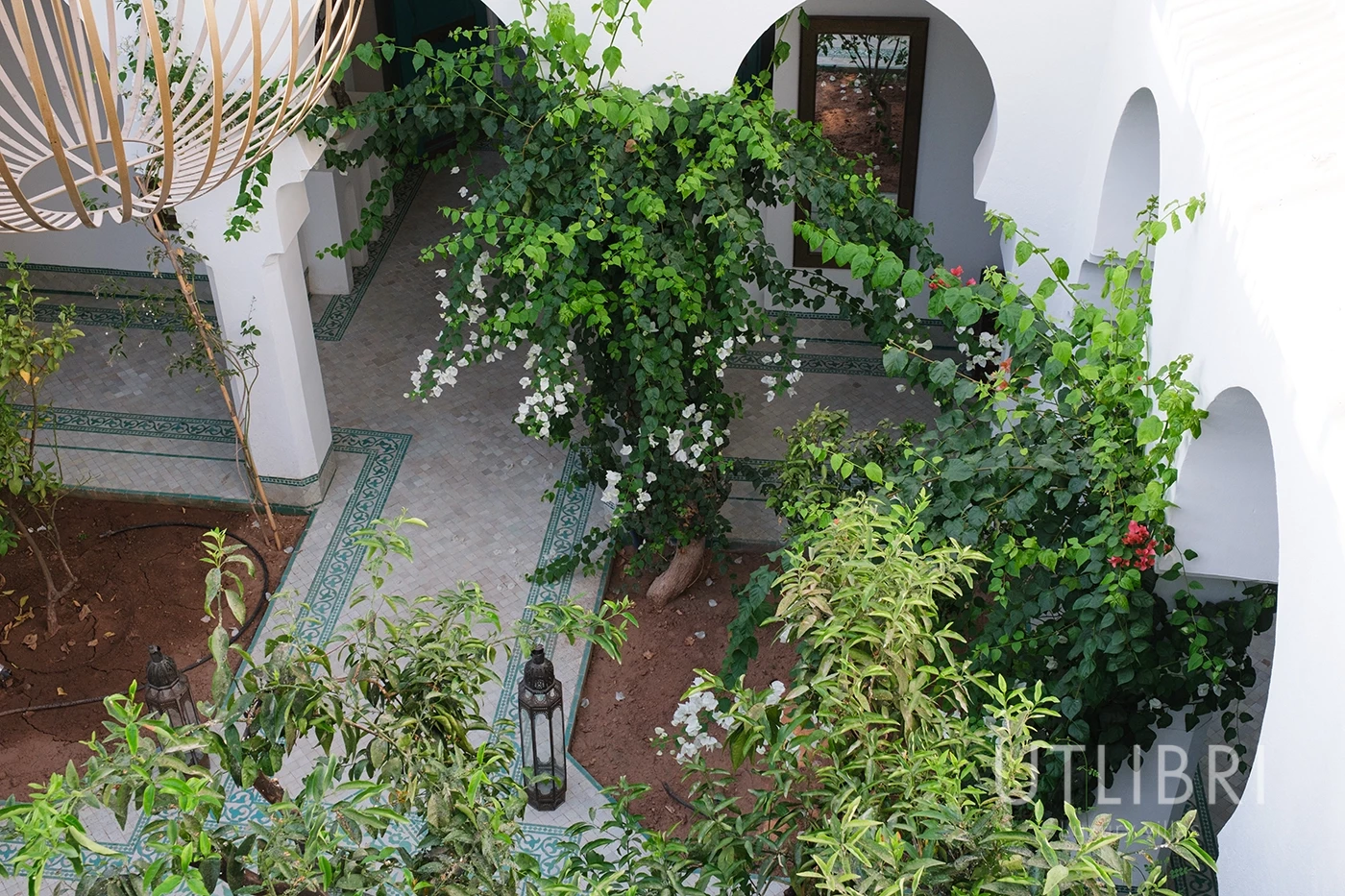 Villa d'exception, Palmeraie