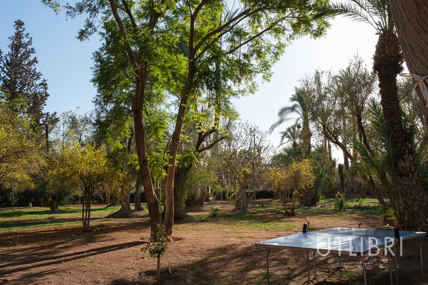 Villa d'exception, Palmeraie