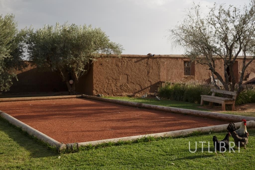 Villa d'exception, Palmeraie