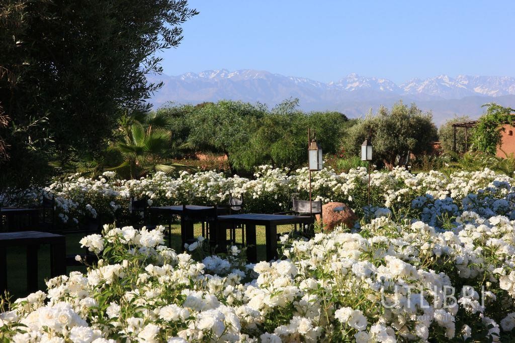 Villa d'exception, Route de l'Ourika