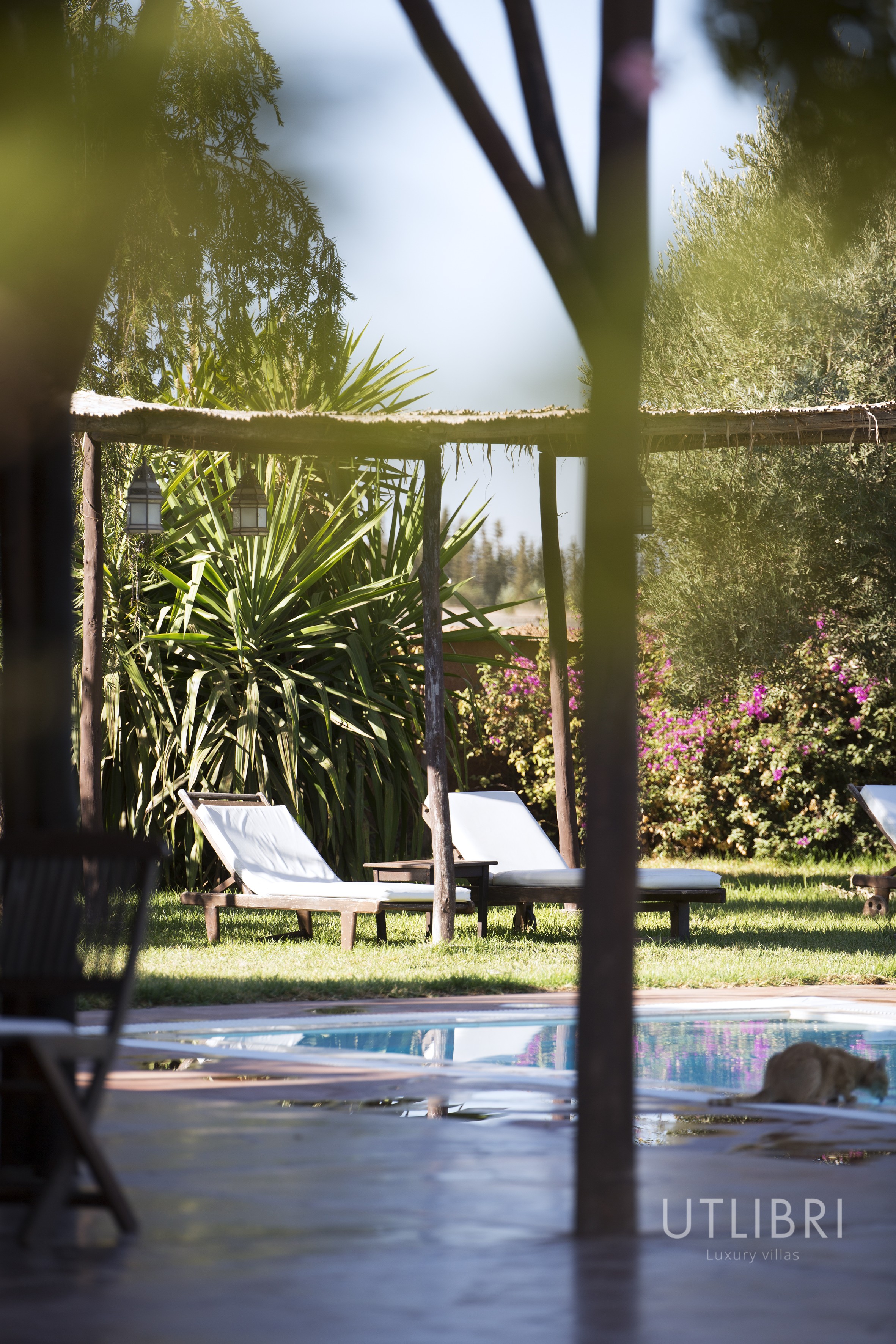 Villa d'exception, Route de l'Ourika