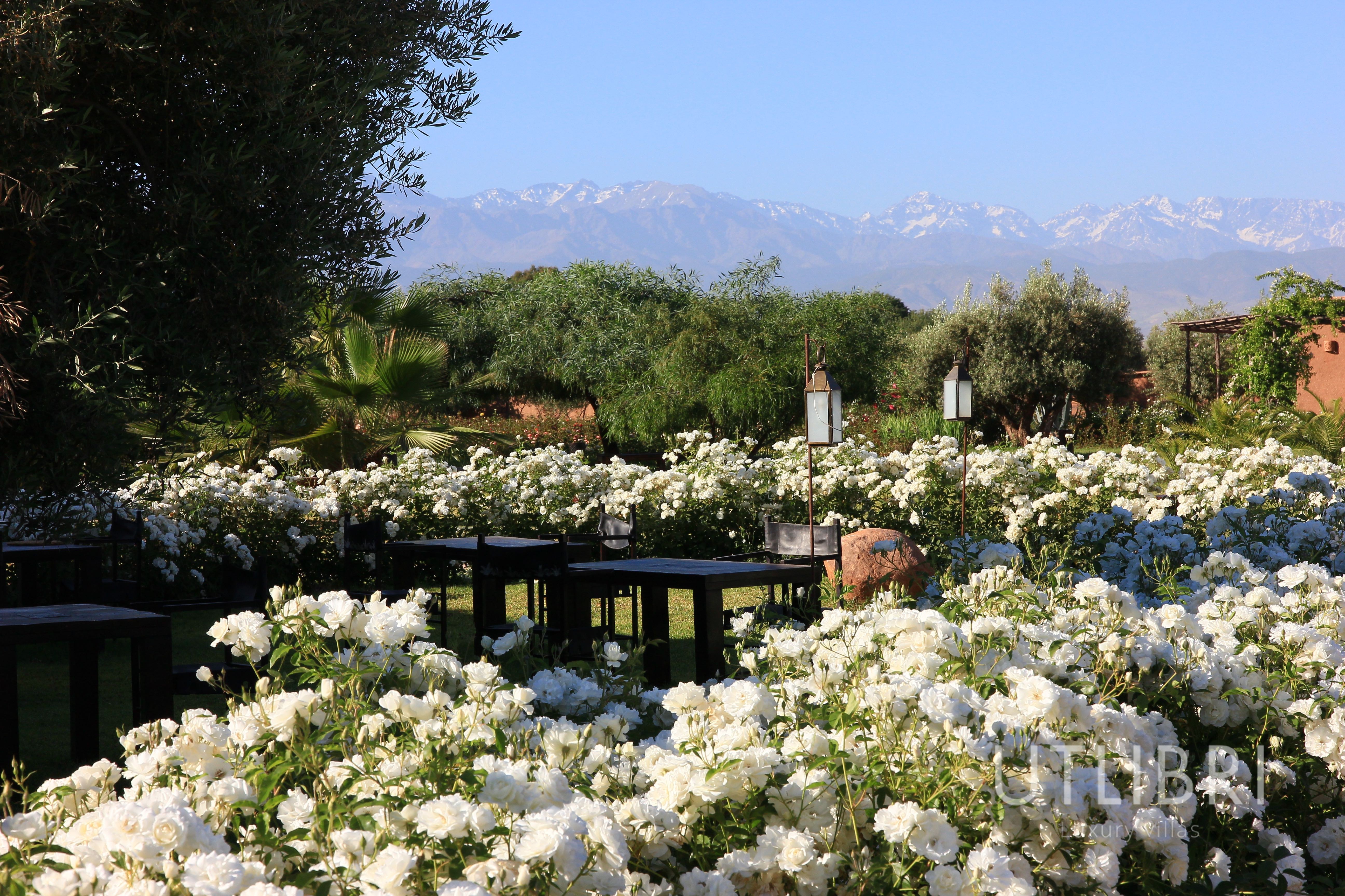 Villa d'exception, Route de l'Ourika