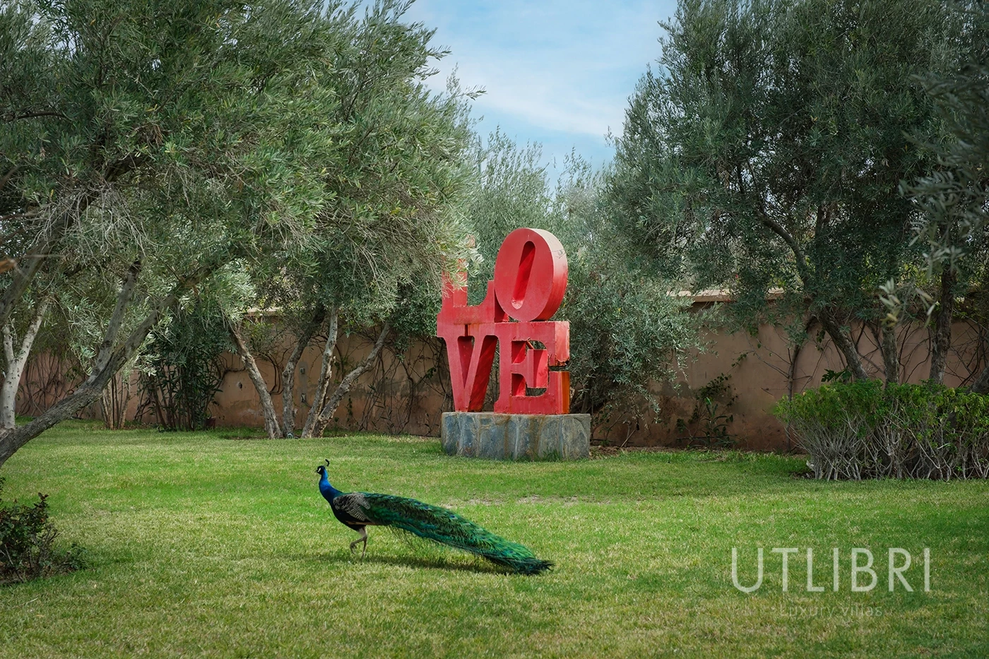 Extraordinary villa, Ouarzazate Road