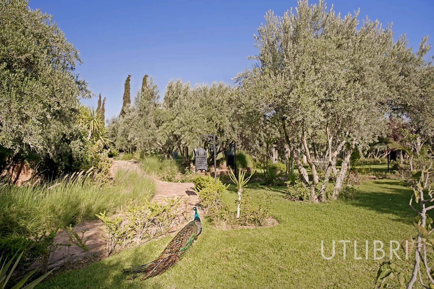 Extraordinary villa, Ouarzazate Road