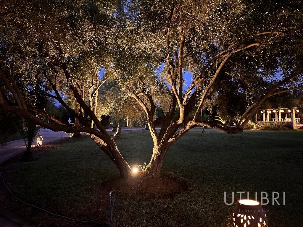 Extraordinary villa, Ouarzazate Road