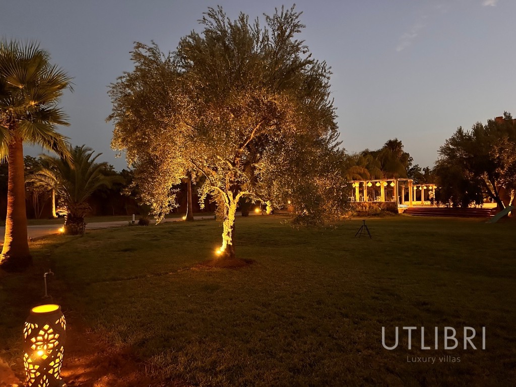 Extraordinary villa, Ouarzazate Road