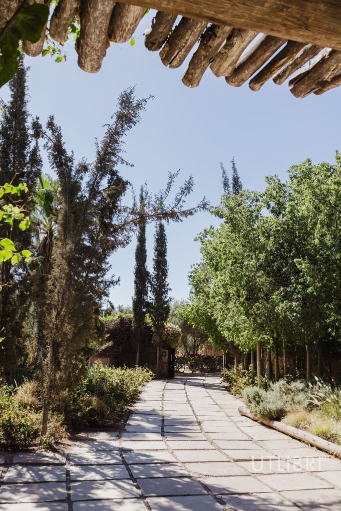 Villa d'exception, Palmeraie