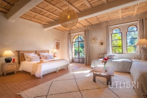 Extraordinary villa, Ida Ougourd