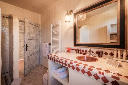Extraordinary villa, Ida Ougourd