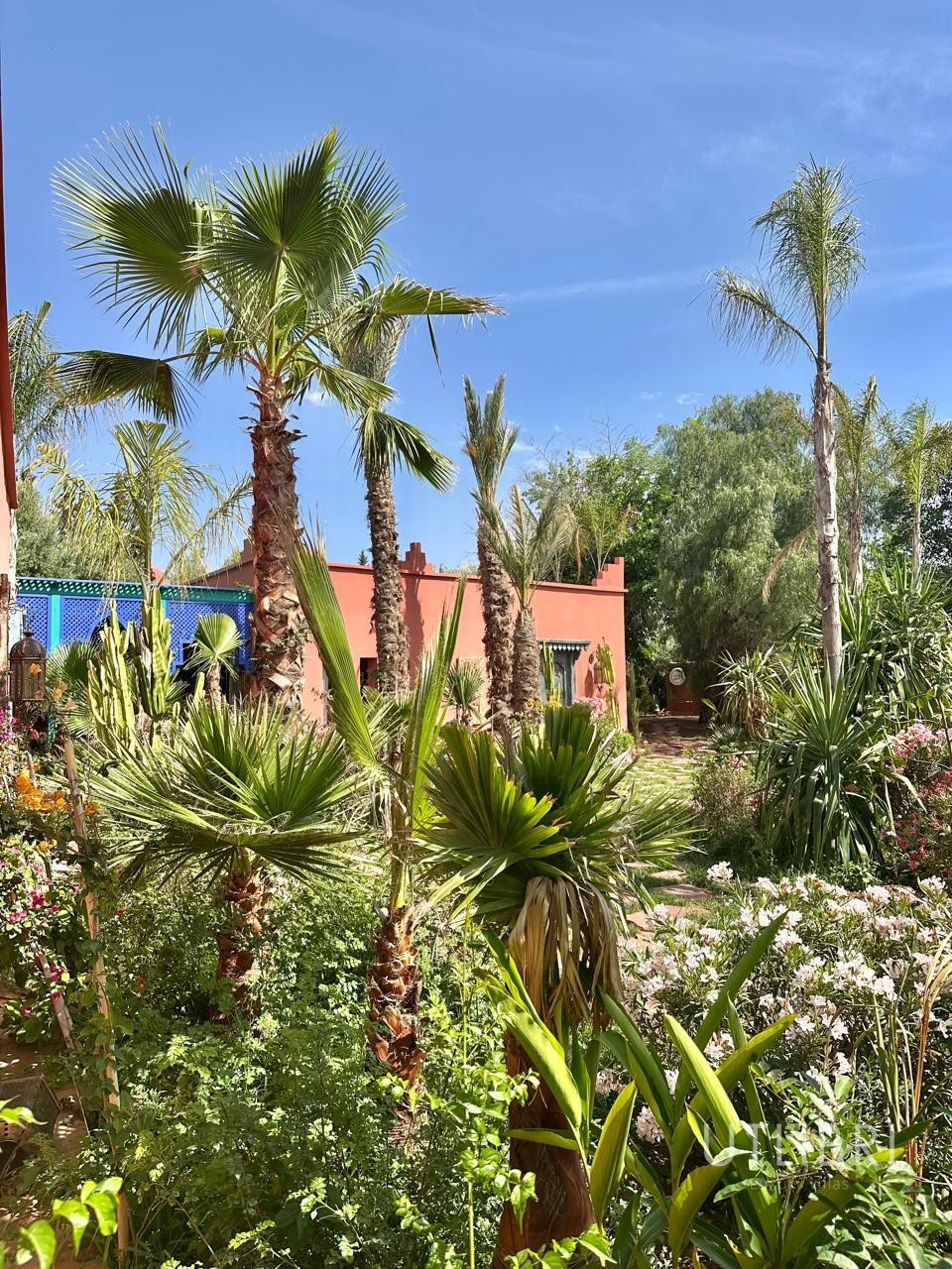 Extraordinary villa, Road to Fes