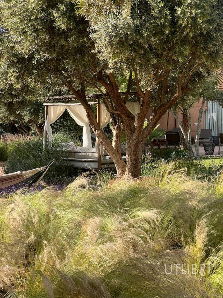 Extraordinary villa, Road to Ourika