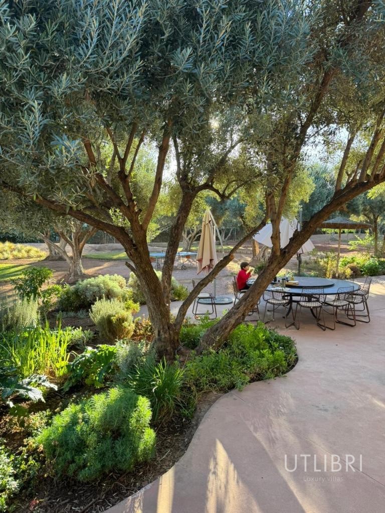 Extraordinary villa, Road to Ourika