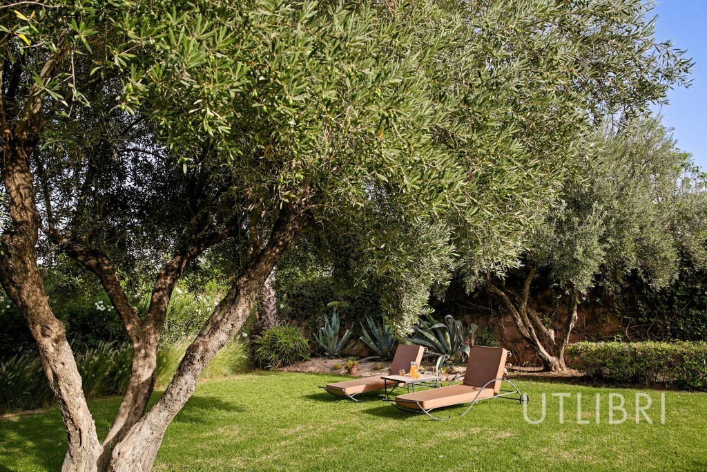 Extraordinary villa, Ouarzazate Road