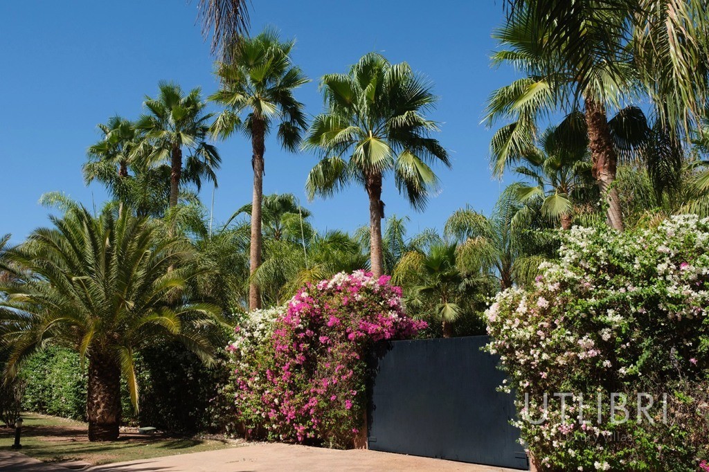Extraordinary villa, Road to Fes