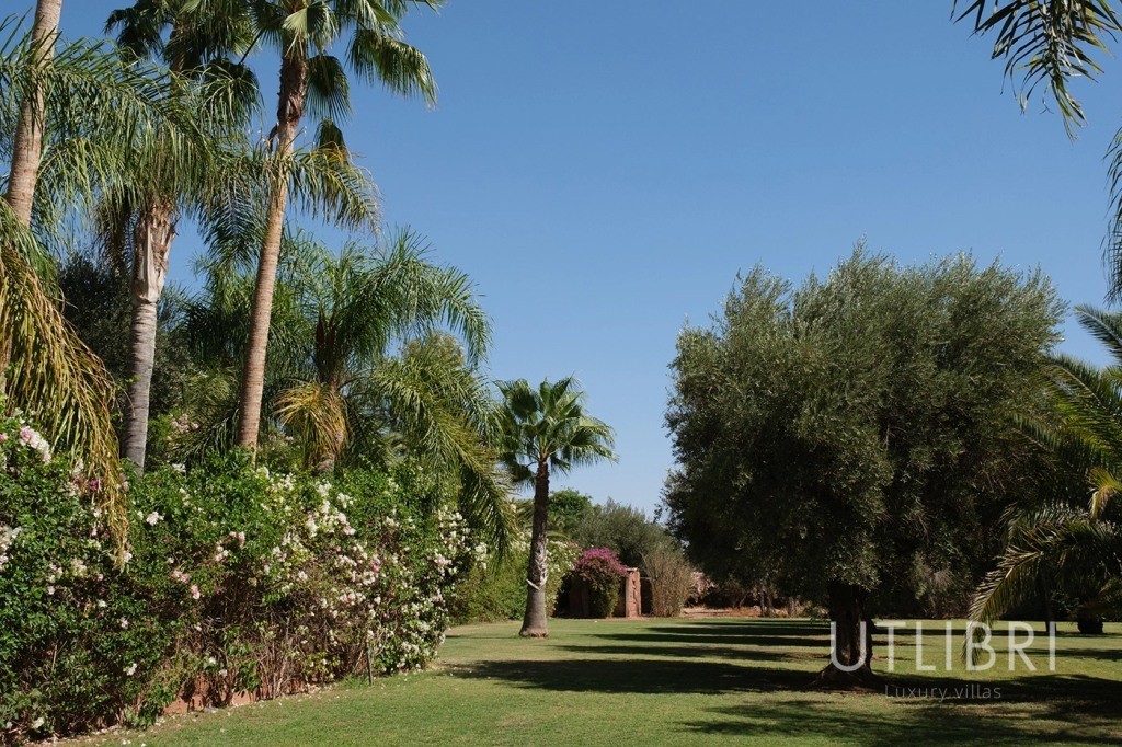 Extraordinary villa, Road to Fes
