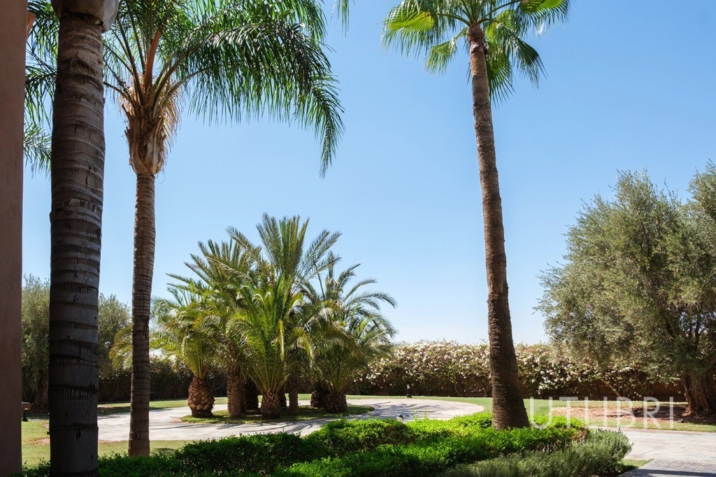 Extraordinary villa, Road to Fes