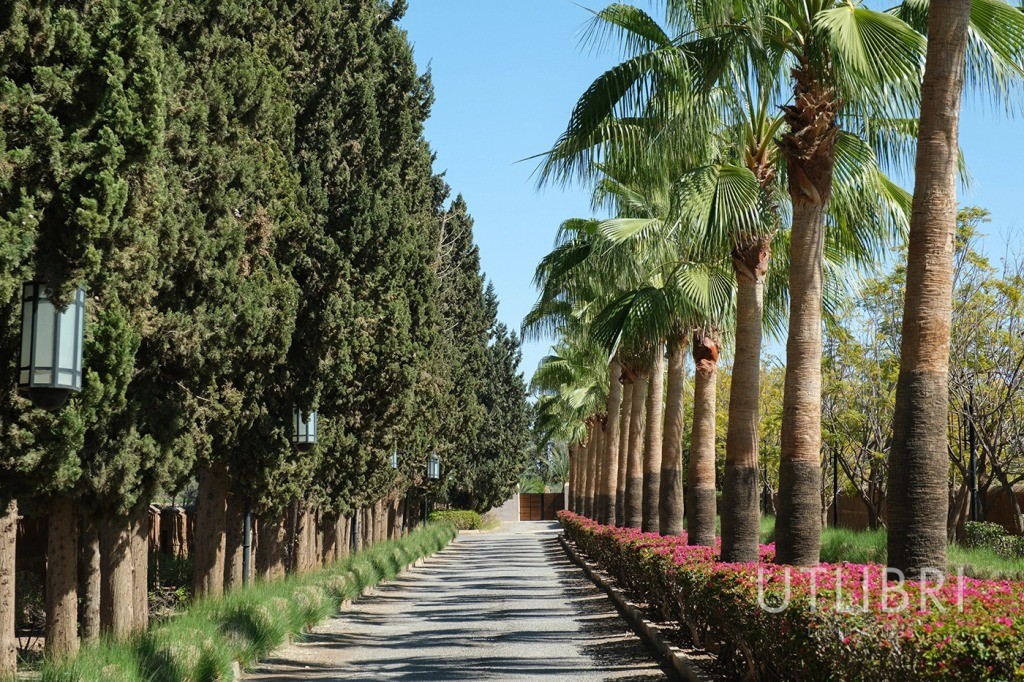 Extraordinary villa, Ouarzazate Road