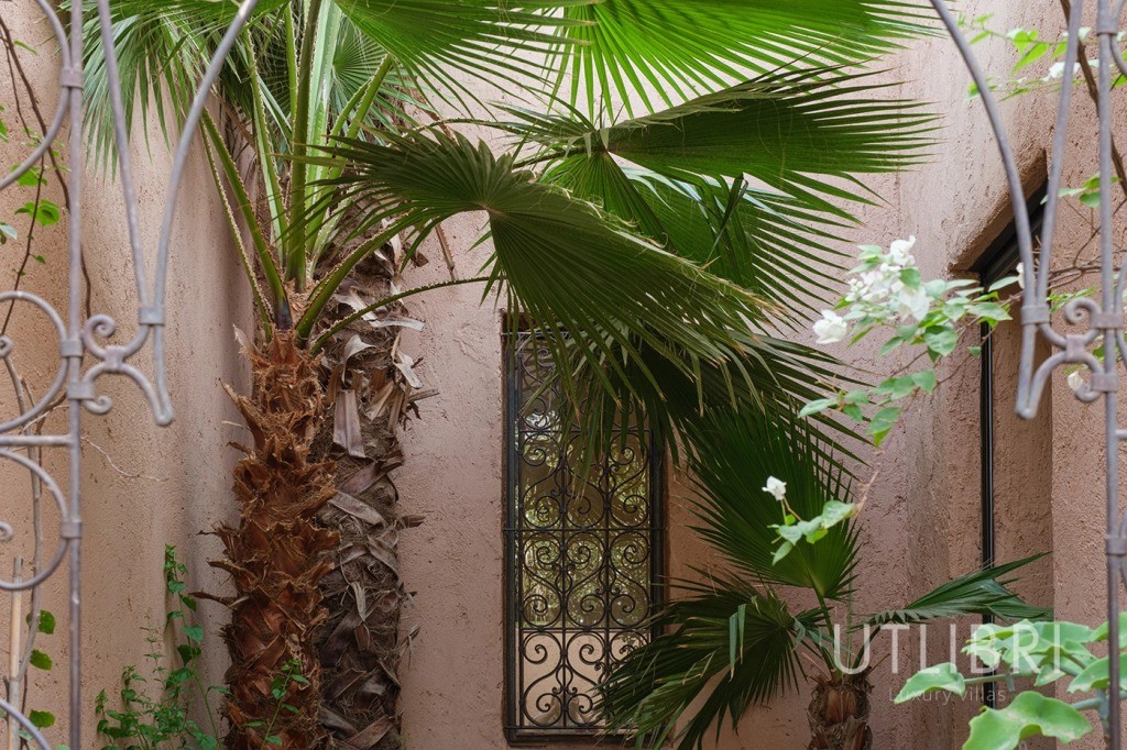 Villa d'exception, Palmeraie