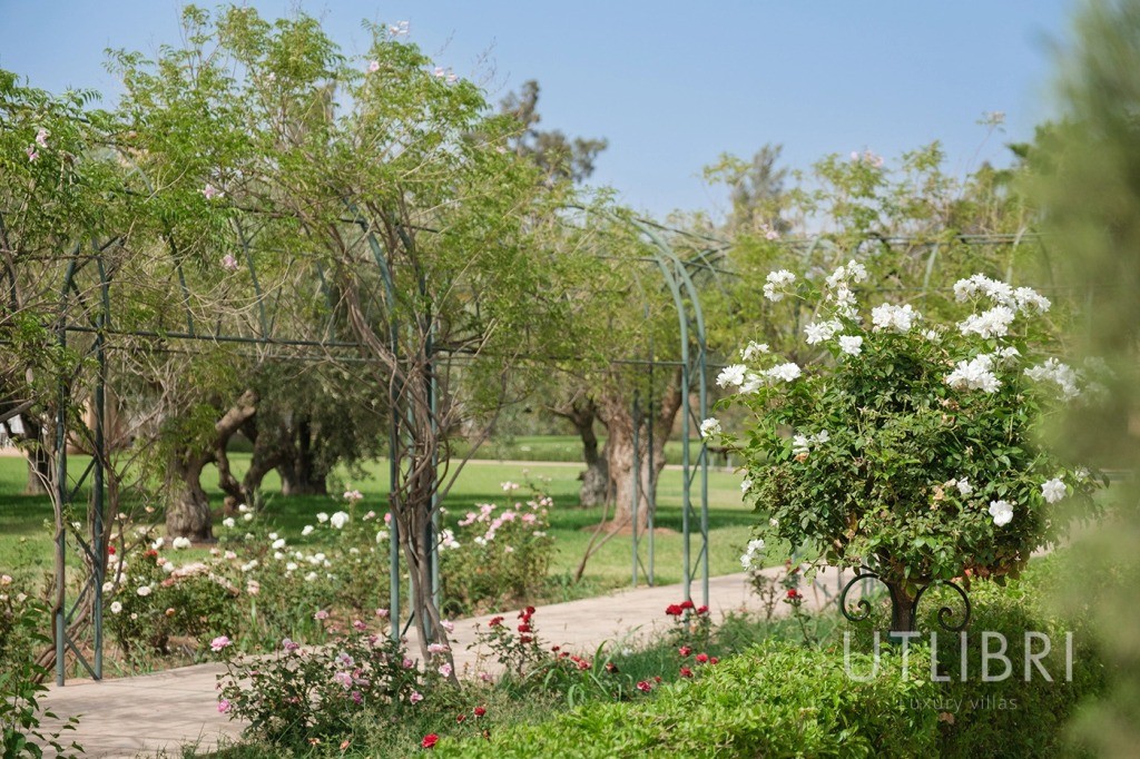 Villa d'exception, Royal Palm et ses environs