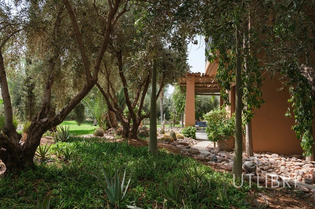 Villa d'exception, Palmeraie