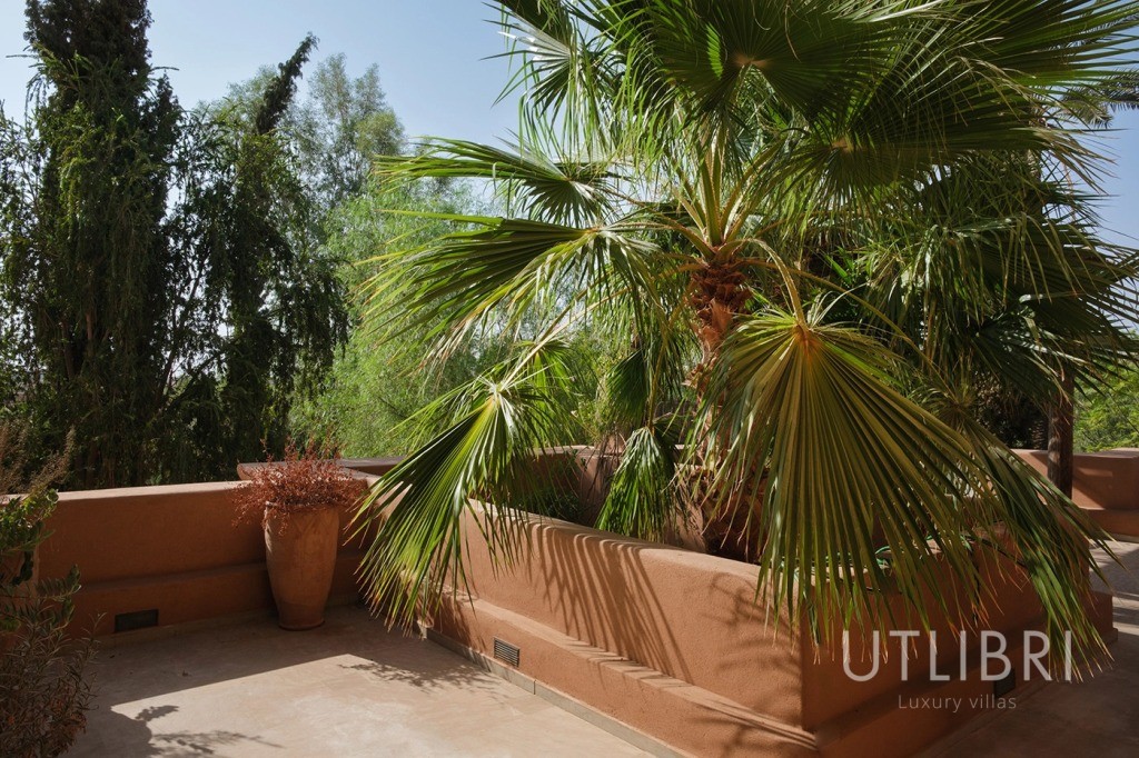 Villa d'exception, Palmeraie