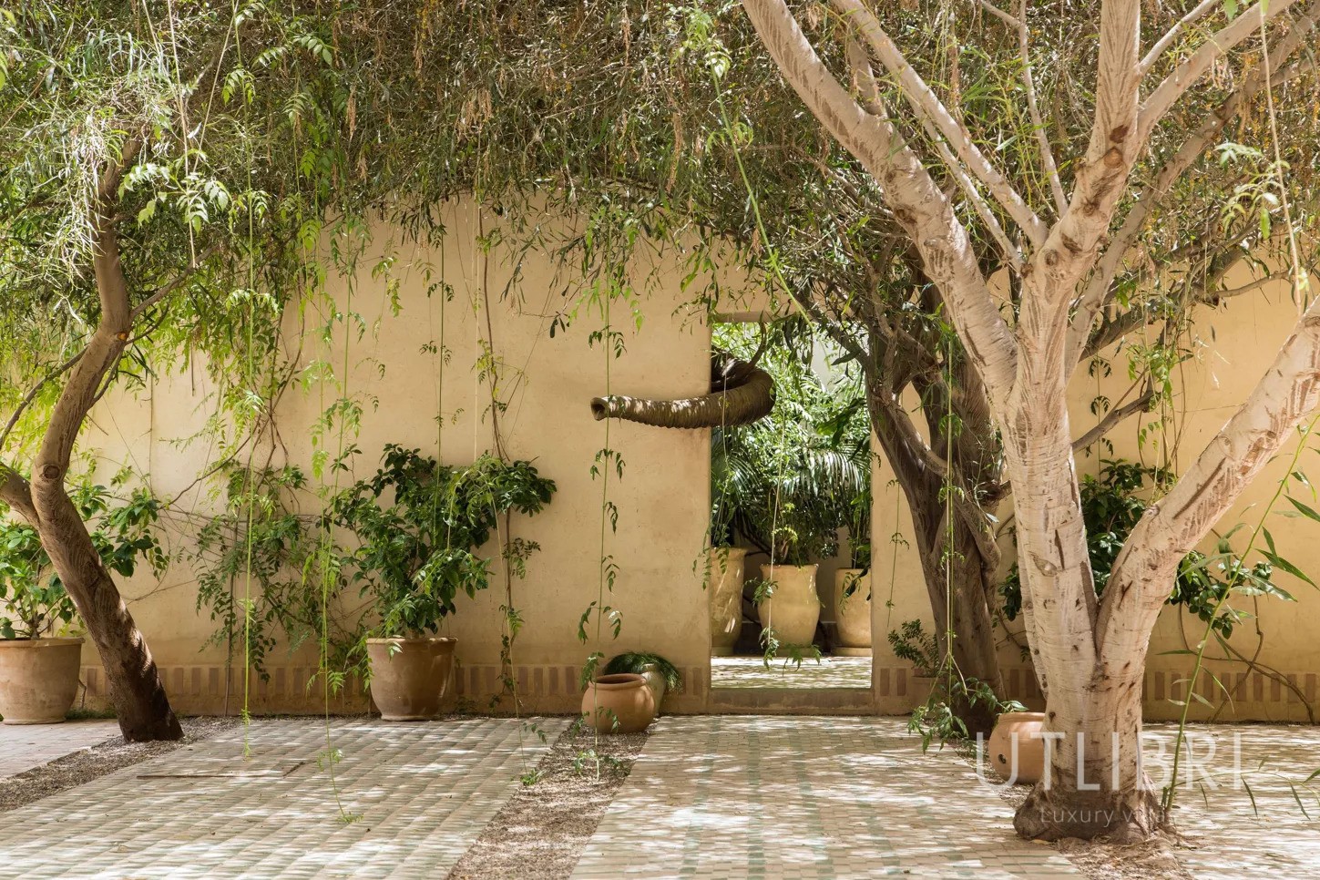 Villa d'exception, Palmeraie