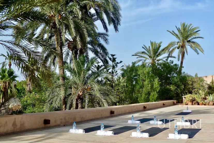 Villa d'exception, Palmeraie