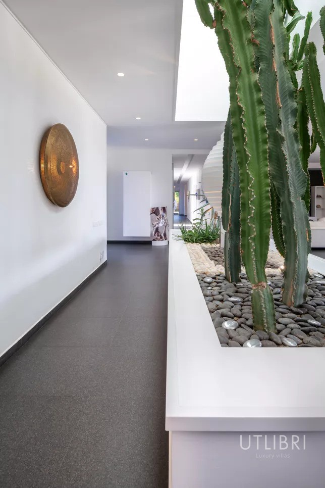 Extraordinary villa, Royal Palm and around