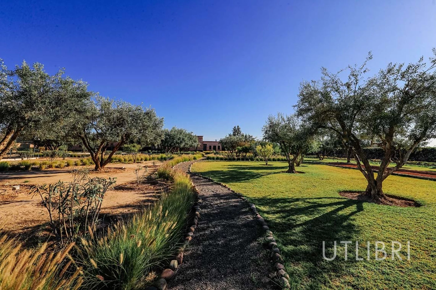 Extraordinary villa, Ouarzazate Road