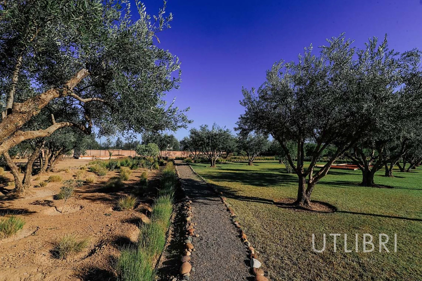 Extraordinary villa, Ouarzazate Road