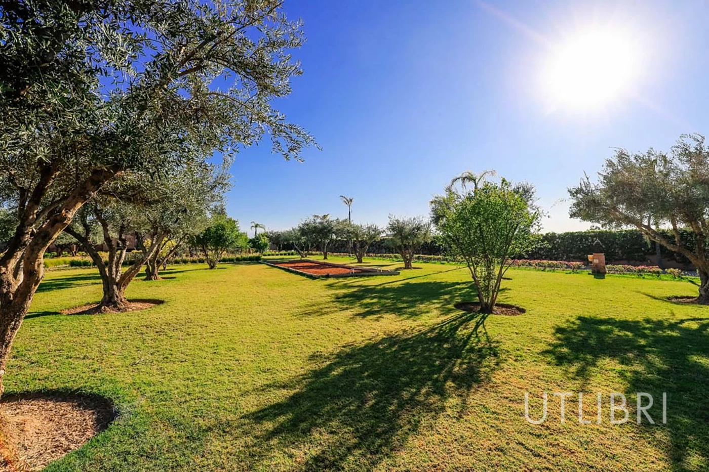 Extraordinary villa, Ouarzazate Road