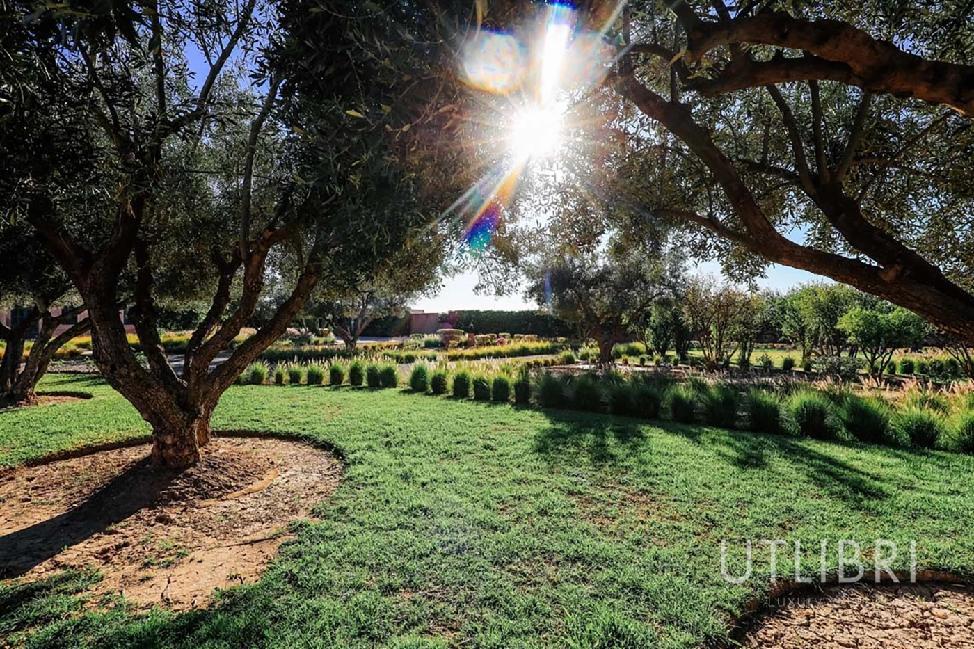 Extraordinary villa, Ouarzazate Road