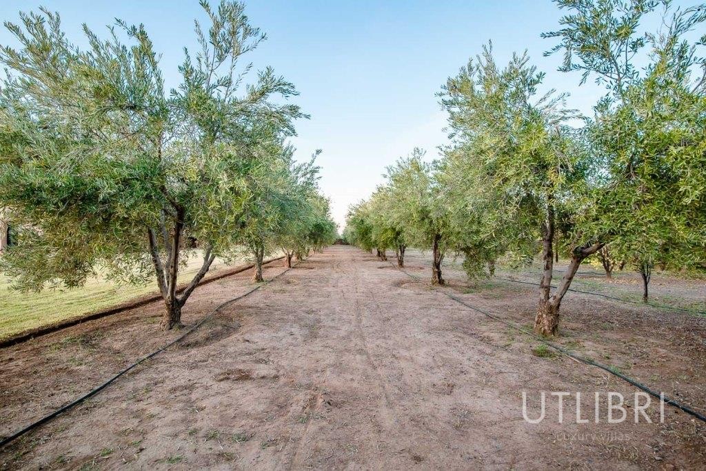 Extraordinary villa, Road to Ourika