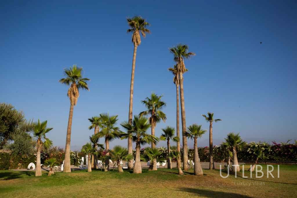 Extraordinary villa, Royal Palm and around