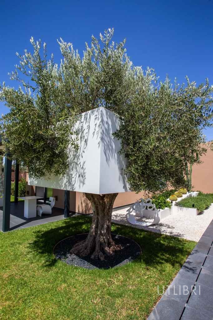 Extraordinary villa, Royal Palm and around