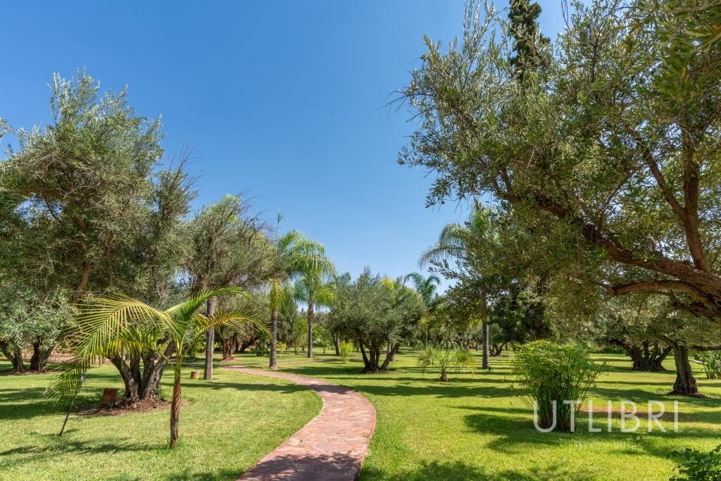 Extraordinary villa, Road to Fes