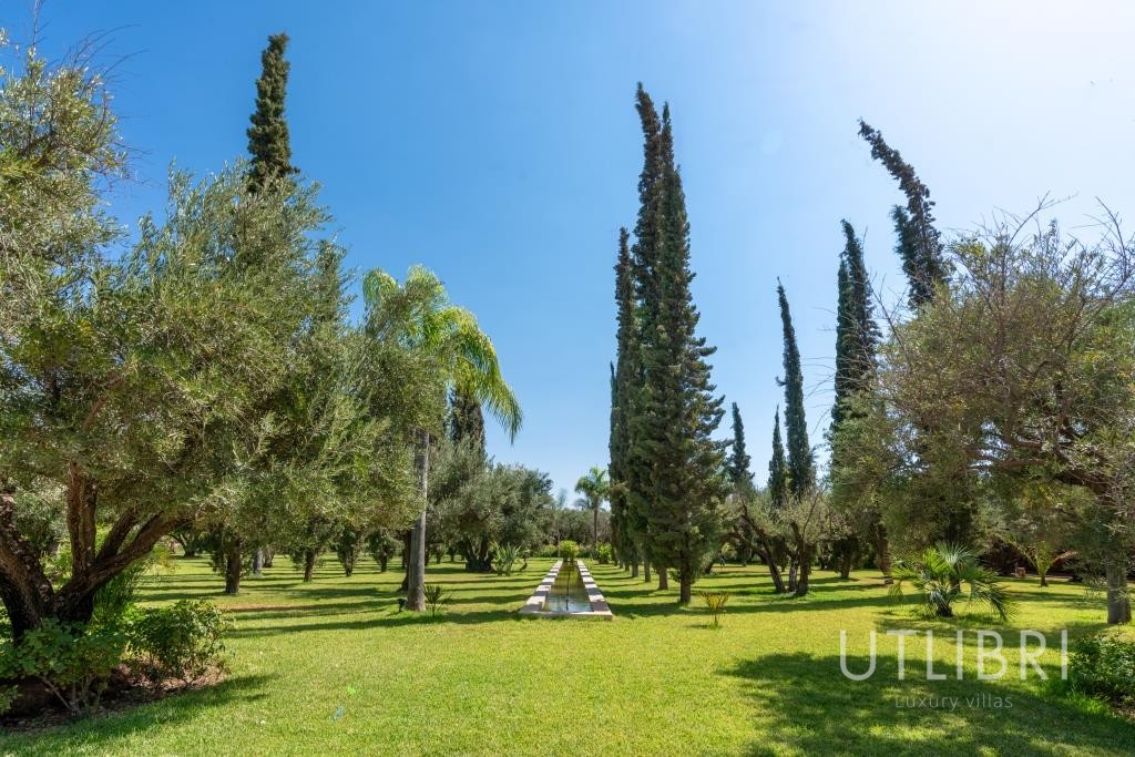 Extraordinary villa, Road to Fes