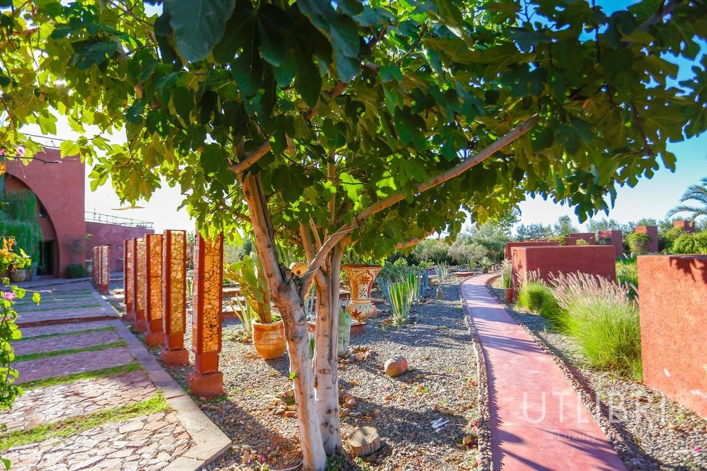 Extraordinary villa, Road to Ourika