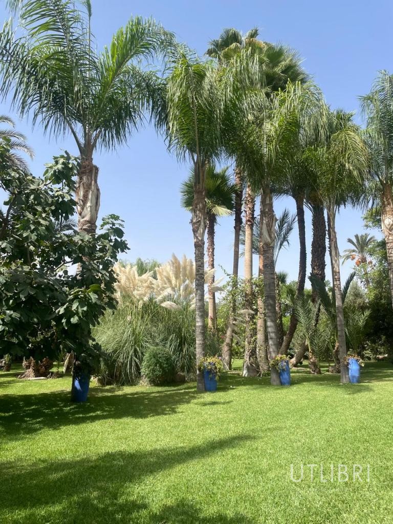 Extraordinary villa, Royal Palm and around