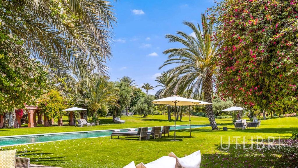Villa d'exception, Palmeraie