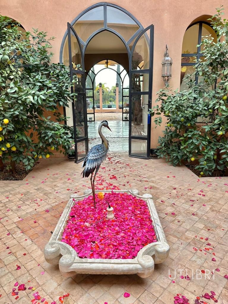 Extraordinary villa, Road to Fes